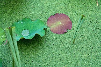 《实况力量职业棒球2024-2025》7月18日发售 系列30周年纪念